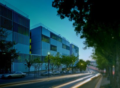 United States Condo 8 Octavia California