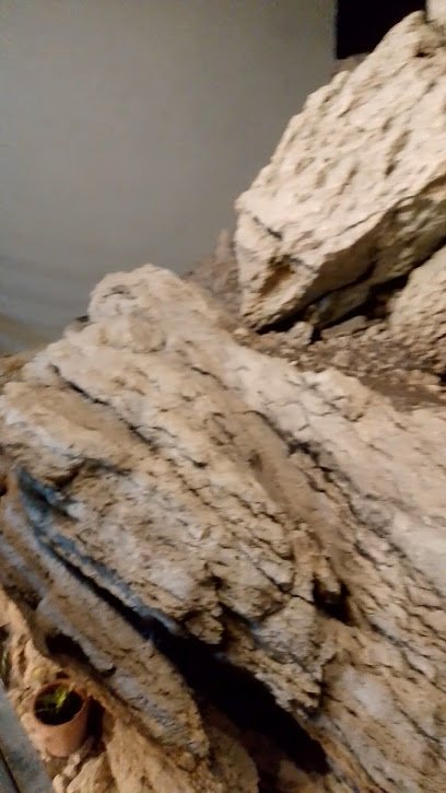 Exterior of Townhouse Baguio City Condo