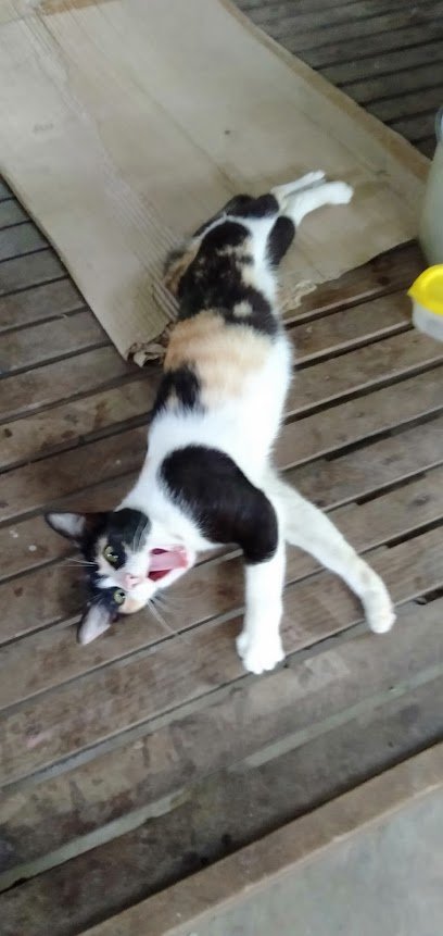 Facade of Temoteo Condominium Philippines Luxury