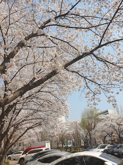 Facade of 방화도시개발5단지아파트 서울