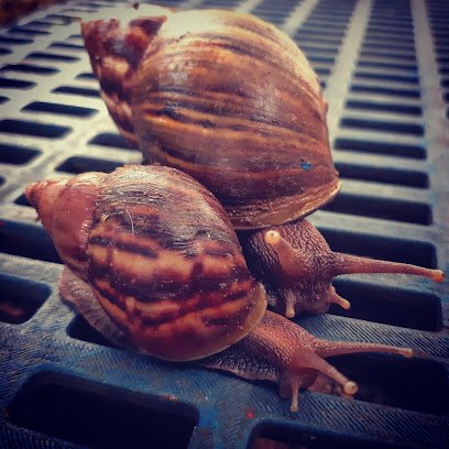 Exterior of Don Jaimes Residence Philippines